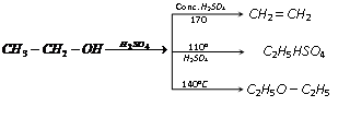 1238_chemical properties of monohydric alcohol13.png